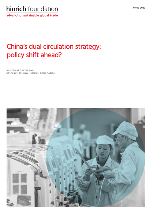 Download Report China S Dual Circulation Strategy The Road Ahead   China S Dual Circulation Strategy Policy Shift Ahead 